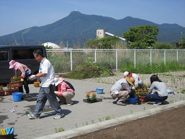 市民参加の花苗植え