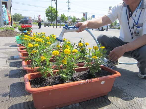 市民参加の花苗植え