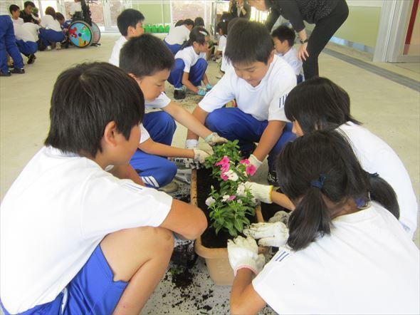 第三田名部小学校花植え体験写真