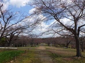 早掛沼公園1