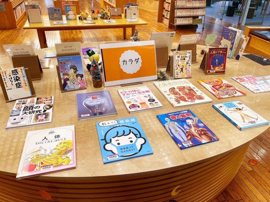 児童特別展示12月②からだ