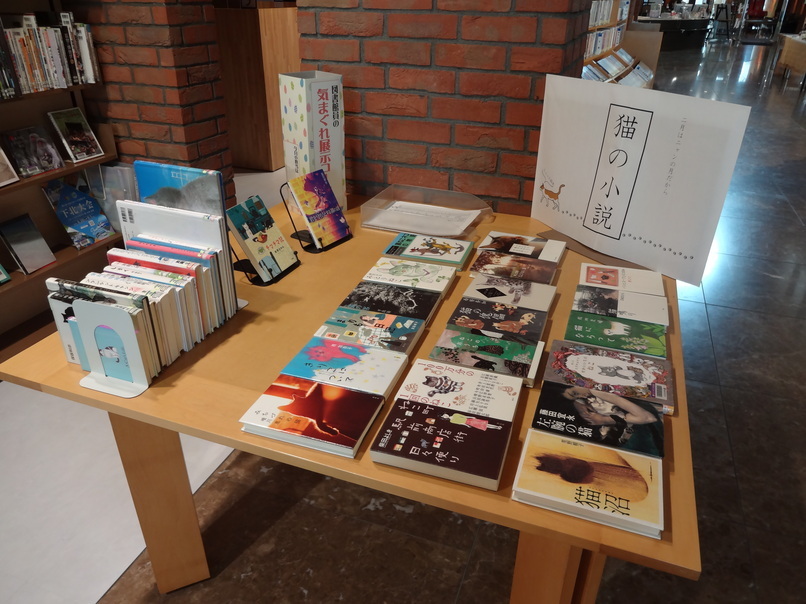 図書館員の気まぐれ展示2月「猫の小説」