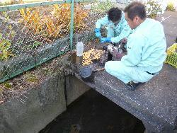 河川水質検査の様子